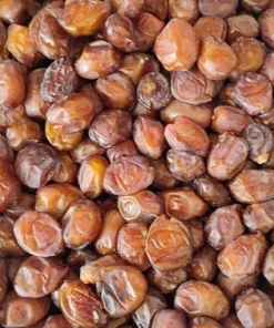 خرمای خاصویی