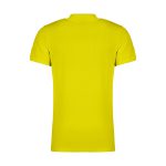 خرمای مضافتی - تصویر 2